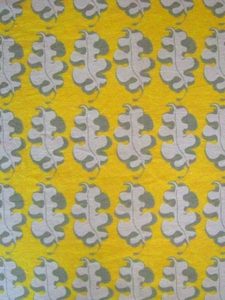 Olearia Yolk Verdant Living