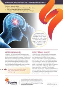 Stroke Client Collection: A4 Emotional and Behavioural Changes - Packs of 25