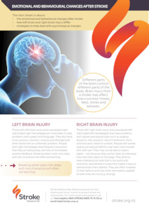 A4 Emotional and Behavioural Changes - Packs of 25