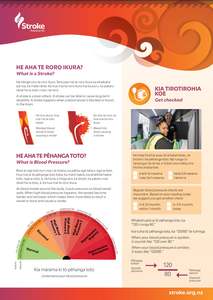 Stroke Client Collection: A4 Bilingual Blood Pressure & What is a Stroke - Packs of 50