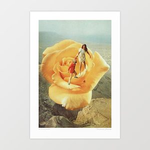 New Zealand: 'The yellow big rose' Art Print by Vertigo Artography