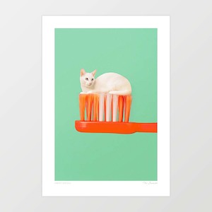 Animals: ‘Toothpaste Cat' Art Print by Vertigo Artography