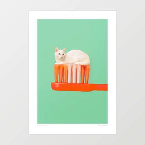 'Toothpaste Cat' Art Print by Vertigo Artography | Surreal Retro Cat W&hellip;