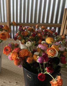 Seasonal Buckets of Flowers - VERVE