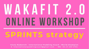 Products: WakaFit 2.0 ONLINE Workshop SPRINTS Vesna Radonich