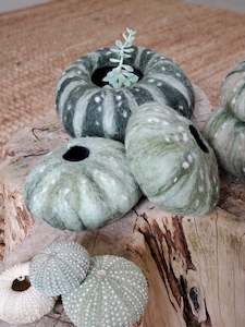 Home Decor: Kina shell vases, sculptures made of merino wool and raw silk. New Zealand icon