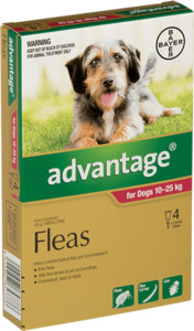 Advantage for Large Dogs 10 - 25kg Vet Online Co