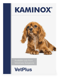 VetPlus Kaminox Potassium Supplement for Dogs 5.4g x 30 sachets Vet Online Co