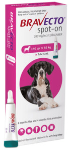 Bravecto Spot On Dog 6 Months Protection 40-56kg Vet Online Co