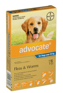 Advocate For Dogs Over 25kg - 6 Pack Vet Online Co