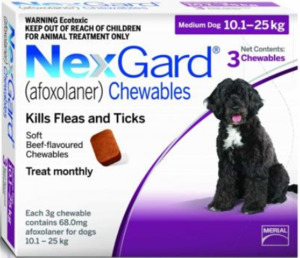 Products: NexGard for Dogs 10–25kg Fast Flea Treatment NZ
