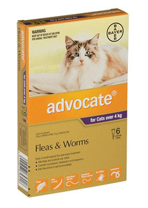 Advocate for Cats Flea & Worm Treatment 4kg - 6 Pack