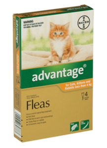 Advantage for Small Cats and Kittens & Rabbits less than 4kg - 4 Pack Vet Online Co