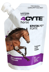 4CYTE Joint Health For Horses NZ Vetonline Consult