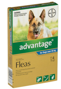 Advantage for large dogs 25kg+ Vetonline Consult