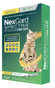 Nexgard Spectra for Cats - Flea & Tick Treatment Vet Online