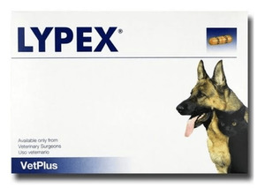 LYPEX Pancreatic Enzyme Support For Dogs and Cats Vet Online Co