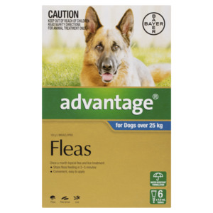 Advantage Fleas For Dogs Over 25kg