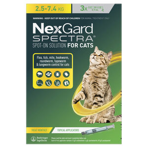 Nexgard Spectra Large Cat