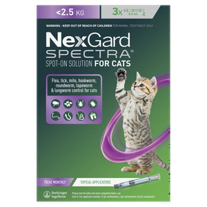 Products: Nexgard Spectra Small Cat