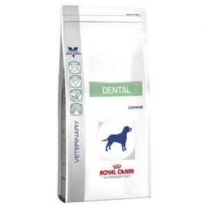 Royal Canine Dental Canine Dry Dog Food 6kg