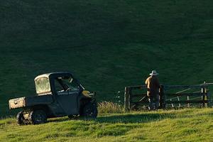 Products: Farmlands Promotions Vet Post NZ Fast Delivery