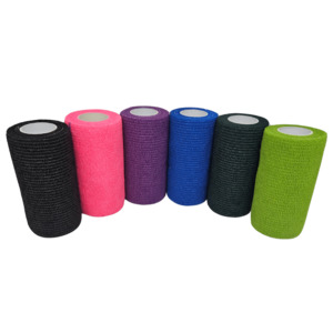 Cohesive Bandage 10cm Singles