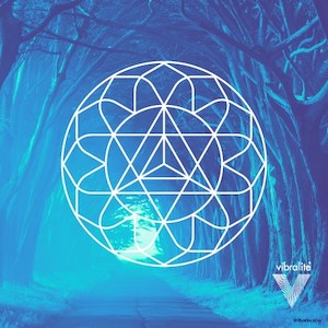 Healer Vibralite® Healing