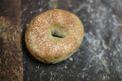 Frontpage: Parmesan Bagel