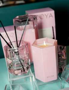 Keepsake Read Diffuser Pink