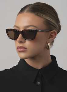 Nove Tort/Brown