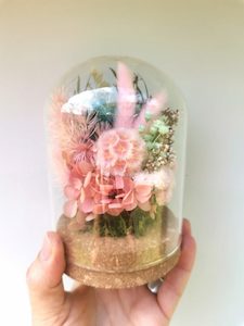 Products: Dried Flower Dome - Gift Boxes Dried flowers Hire flowers Dried wedding Flowers