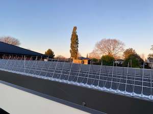 Bird Spikes (5 Prong)