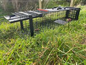 Raptor - Mustelid Cage Trap