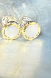 silver earrings with white gold fastening