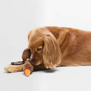 Living Collection Home Decor Online: Flying Duck Dog Toy