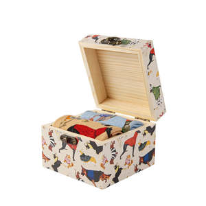 Raining Cats and Dogs | 2 Pair Box Set