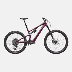 Specialized Turbo Levo SL 2 Expert