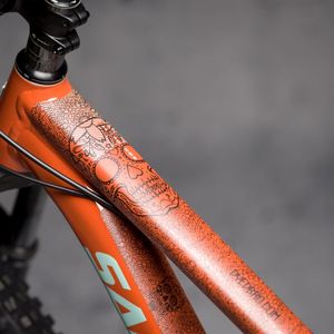 DYEDBRO FRAME PROTECTION DIA DE MUERTOS WHITE