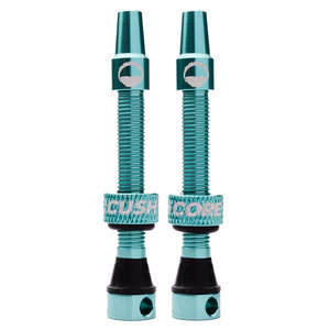 Cush Core Valves