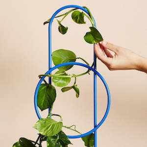 Stands: Ivy Muse Dot Plant Stake