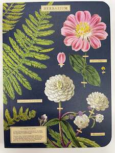 Stationery: Cavallini & Co Mini Notebook