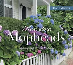 Fashion Books: Marvelous Mopheads