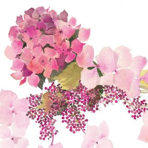 Stationery: Pink Hydrangea Card