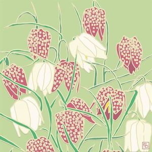 Stationery: Fritillary Card