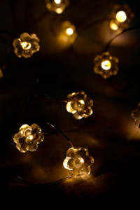 New Arrivals: Flower Seed Light