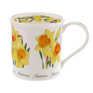 Tea Light Houses: Dunoon Bute Narcissus Mug