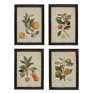 French Country Collections 1: Botanical Print by French Country Collections