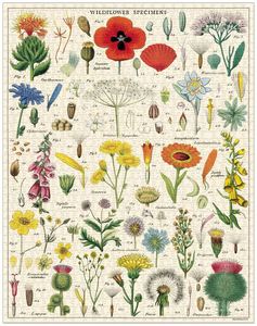 Puzzles: Cavallini & Co - Vintage Puzzle - Wildflowers 1000 pieces