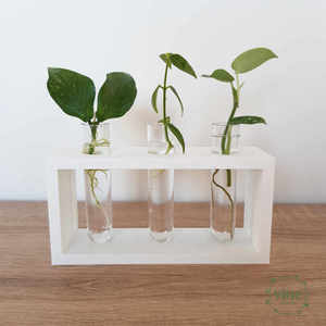 Rainbow Propagation Station